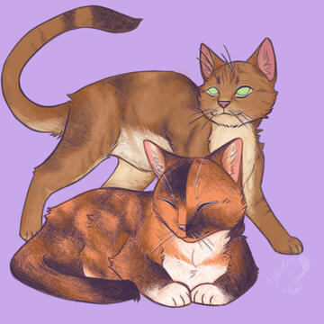 Cat commission